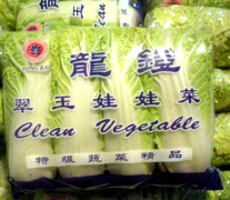 <b>有机大白菜种植技术</b>